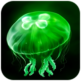 eggjelly官方正版