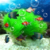 水族馆动态壁纸手机版