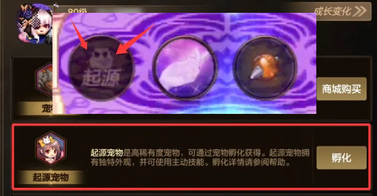 「DNF手游」爆料！15号发布会！周年庆5大重磅更新提前看，宠物系统迎来大洗牌！